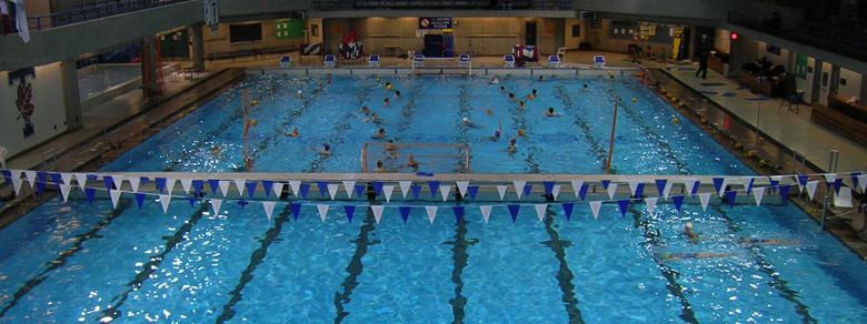 pool780.jpg (251991 bytes)